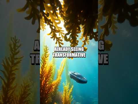 Revolutionizing Ocean Exploration with Autonomous Underwater Vehicles